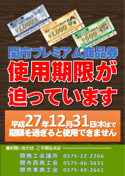 使用可能期間は 平成27年12月31日です