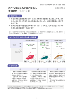 解説資料（PDF形式：493KB）