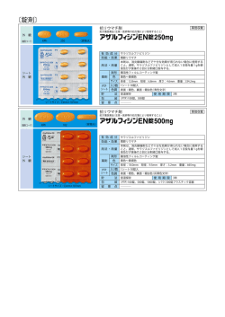 製品一覧 (写真入)