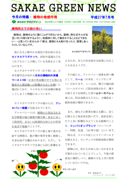 植物の他感作用