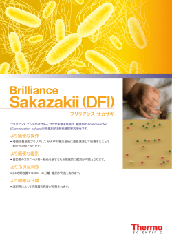 Brilliance Sakazaki (DFI)