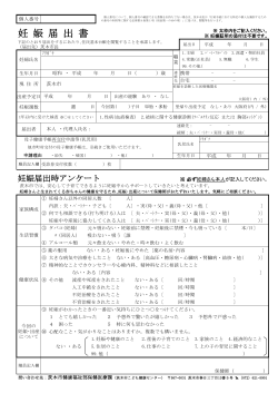 妊娠届出書（PDF：187.9KB）