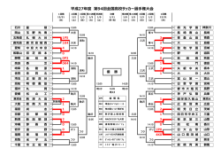 平成27年度 第94回全国高校サッカー選手権大会