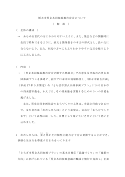 栃木市男女共同参画都市宣言について （ 解 説 ） （ 全体の構成
