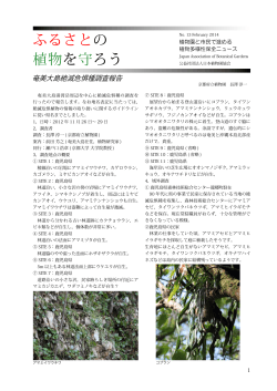 植物多様性保全ニュース No.13(PDF形式：848KB)