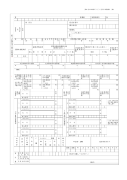 第6号の6様式（乙）（第5条関係）（新） ※ ※種別 ※整理番号 ※ 給 与 支