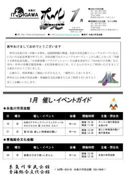 IT IGAWA