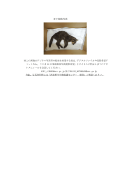 死亡個体写真及び位置図[PDF 149.9 KB]