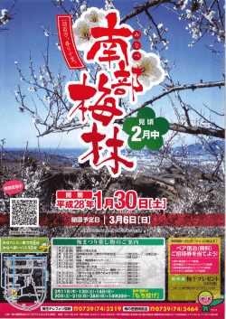 南部梅林