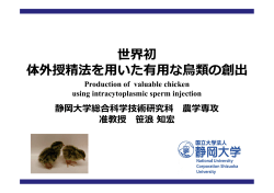 世界初 体外授精法を用いた有用な鳥類の創出