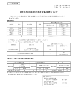 プレスリリース資料 (PDF documentファイル サイズ： 179Kb)