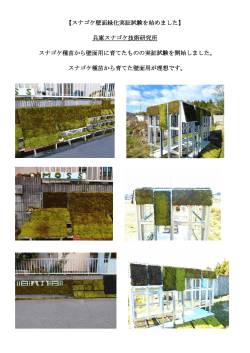 【スナゴケ壁面緑化実証試験を始めました】 兵庫スナゴケ技術研究所
