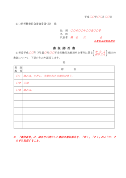 20書証認否書(記載例) (PDF : 70KB)
