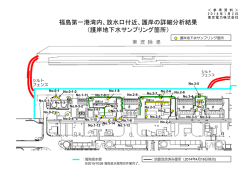 福島第一港湾内、放水口付近、護岸の詳細分析結果 （護岸