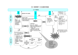 DV 被害者への支援体制図