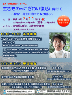 （チラシ）（PDF：2059KB）