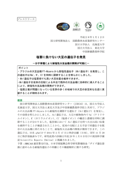 詳細（プレスリリース本文）