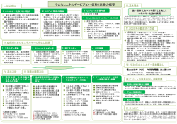 やまなしエネルギービジョン（仮称）素案の概要