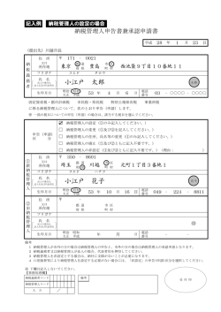 記入例（設定の場合）（PDF：127KB）