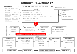 データヘルス計画の骨子(PDF文書)