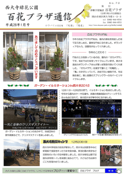 2016年1月