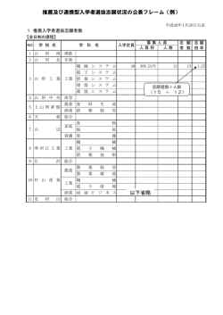 公表フレーム例 (PDF documentファイル サイズ： 430Kb)