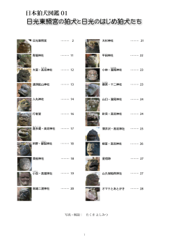 日本狛犬図鑑 01 - BE、IN、CC