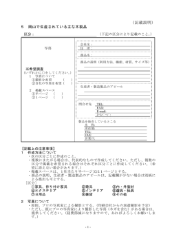 （記載説明）