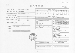 収 支 報 告 書