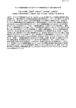ラット小脳顆粒細胞におけるボツリヌス神経毒素及び一酸化窒素の作用