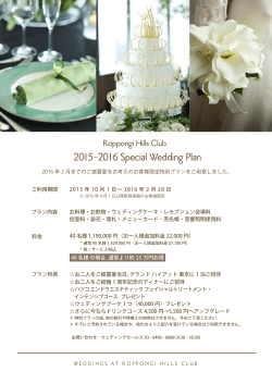 2015-2016 Special Wedding Plan