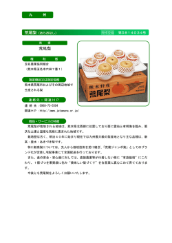 荒尾梨