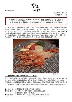 プレスリリース(PDF
