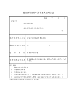 補助金等交付申請書兼実績報告書（PDF：33KB）