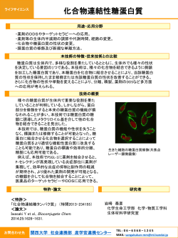 化合物連結性糖蛋白質