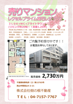 レクセルプライム初石レジデンス折り込みチラシ開始し