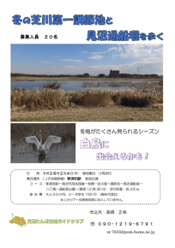 冬鳥がたくさん見られるシーズン