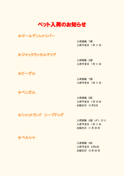 ペット入荷のお知らせ