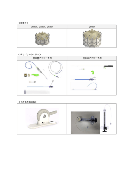 ＜生体弁＞ 20mm，23mm，26mm 29mm ＜デリバリーシステム＞ 経