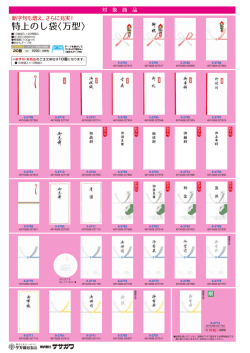 上のし 特上のし袋〈万型〉