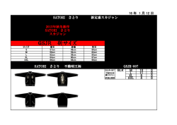 GSJR 新サイズ