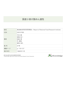 PDFファイル