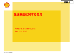 （昭和シェル石油株式会社執行役員 電力事業部長 柳生田 稔）（PDF形式