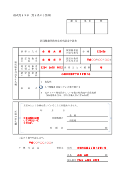様式第13号（第8条の3関係）