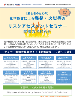 案内リーフレット - みずほ情報総研