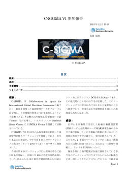 C-SIGMA VI 参加報告