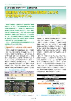 西南暖地での育苗箱全量施肥における 安定育苗のポイント