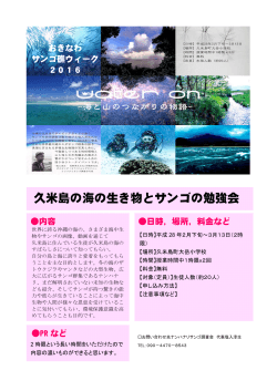 久米島の海の生き物とサンゴの勉強会