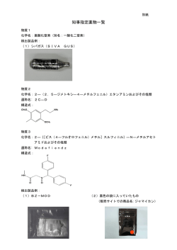 別紙（PDF：480KB）