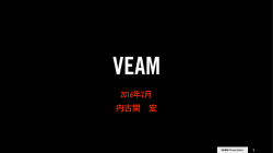 Veam Inc.概要資料0119
